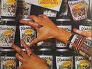 funk disco boogie LP PLEASURE Accept No Substitutes  Mp3 FANTASY OG 1976 EX