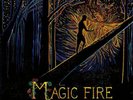 The Stray Birds Magic Fire (Vinyl) 12
