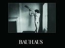 BAUHAUS - In The Flat Field, Import Remastered BLACK VINYL LP + Album CD New