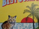 Best Coast: Crazy For You LP  10th Anniversary Reissue. RSD Black Friday 2020