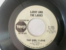 Northern Soul 45/ Larry and the Larks 