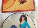KATE BUSH THE KICK INSIDE - PICTURE DISC UK 1st PRESSING