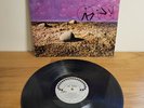 The Wheel Bernie Schwartz Promo Rare Folk Psych 1970 CoBurt Records Vinyl LP