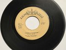 Richard Lagnese 1977 SOUL FUNK DISCO ELECTRONIC PSYCH 45 Fantacy Playground HEAR