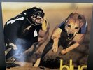 Blur - Parklife 1994 Original Vinyl