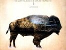 Heartless Bastards - Arrow NEW Sealed Vinyl LP Album