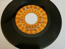 The Flamingos - When I Fall in Love- Roulette (45RPM 7”Single)(J490-1)