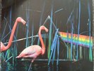 Pink Floyd Dark Side Of The Moon DEMO LP First Press Vinyl Album
