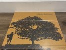 Jack Johnson - In Between Dreams (LP, Black Vinyl Record) - New / Sealed