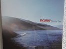 Incubus Morning View 2 LP 180g Clear Vinyl Limited Edition #000231 NM