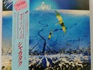 Shakatak - Night Birds - OBI - JAPAN VINYL -  Insert - 28MM-0186