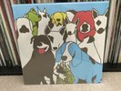 The Format - Dog Problems 2xLP Vinyl Record Fun Brand New Record Nate Ruess