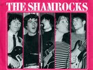The Shamrocks - Shame, Shame, Shame 7