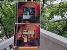 CHESKY RECORDS 96/24 SUPERAUDIODISC SARA K. E BABATUNDE OLATUNJI