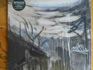 HONEYGLAZE LP DINKED EDITION GREEN VINYL, FLEXI & PRINTS SIGNED WET LEG SUPPORT