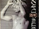 2Pac In-Store Promotional Vinyl Ceiling Display Banner