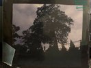 J. Cole   4 Your Eyez Only UA Coke Bottle vinyl LP New SEALED