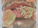 TORO Y MOI   UNDERNEATH THE PINE (Sealed) 10th Anniversary Desert Sun VINYL LP
