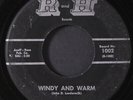 DEL-RAYS: night prowl / windy and warm R AND H 7