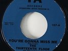 13th Floor Elevators 