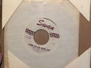 The Beatles - Komm Gib Mir Deine Hand/I Want to Hold Your Hand 45 Swan - Pics