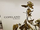 Copeland In Motion Vinyl LP