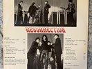 The Doors - 2 LP Rare Issue - Resurrection - only 700 made