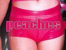 Peaches / THE TEACHES OF PEACHES (PINK LP) / XL Recordings / XL163LP / 05839891
