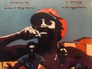 Toots and The Maytals 1975 EX/VG+ Funky Kingston