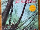 Fat Mattress – Debut Psych Rock-Prog Rock Vinyl LP – Noel Redding – OG WLPromo