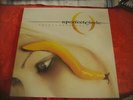 A PERFECT CIRCLE 2LP 2003 PRIMA STAMPA GATEFOLD THIRTEEN THE STEP TOOL