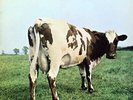 Pink Floyd Atom Heart Mother NEAR MINT Harvest Vinyl LP