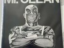Skinkorps Mr. Clean LP Rebelles Europeens Original Oi ISD Camera Silens