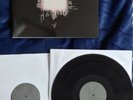 Tool Aenima Vinyl 2 LP Neuwertig