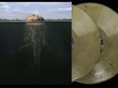 The Mars Volta Deloused in the Comatorium VMP Vinyl Me Please 2x LP