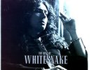 Whitesnake - The Best Of Whitesnake LP (VG/VG) .
