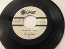 THE  LAZY EGGS  45 ** The Hammer Song/ My Baby Don’t Care GARAGE PUNK 60’s Mich.