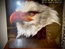 MOGWAI  THE HAWK IS HOWLING NEW VINYL