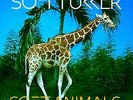 SOFI TUKKER - SOFT ANIMALS (EP) NEW VINYL