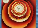 Stevie Wonder 