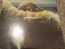Beyoncé ‎–Lemonade 2-LP Yellow Vinyl Used- Excellent Condition. Minor cover wear