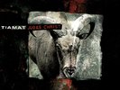 Tiamat - Judas Christ [New Vinyl LP] Colored Vinyl, Ltd Ed, Red