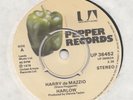 ROCK / STEVE HOGGARTH -- HARLOW -- HARRY de MAZZIO - UK  7