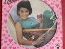 The Best Of Annette Funicello Picture Disc 12” 1984 LP Rhino RNLP 702