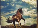Bruce Springsteen -Western Stars Limited Edition  (Vinyl) blue new