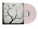 THE AIRBORNE TOXIC EVENT Self Titled New PINK SWIRL VINYL AUTOGRAPHED SIGNED