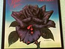 Thin Lizzy Black Rose 1st Edition 12