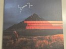 What Could Possibly Go Wrong by Dominic Fike Signed Album Vinyl (Record, 2020)