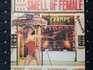 The Cramps vinyl 