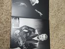Lp IGGY POP Post Pop Depression LIVE Royal Albert Hall NM played once 2350/6000